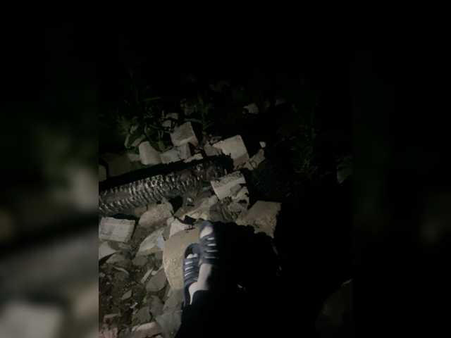 Zrzuty ekranu transmisji Vanessa-25