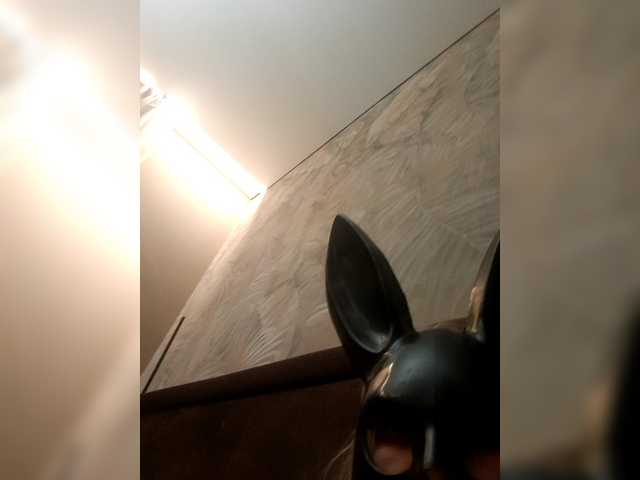 Zrzuty ekranu transmisji Vikysha