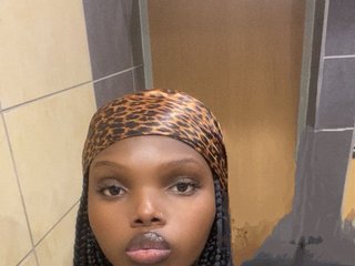 Erotyczny czat wideo Wildcata