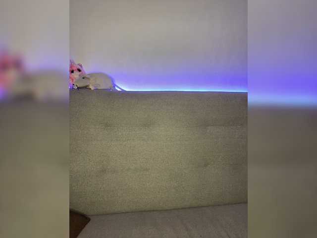 Zrzuty ekranu transmisji Wulka