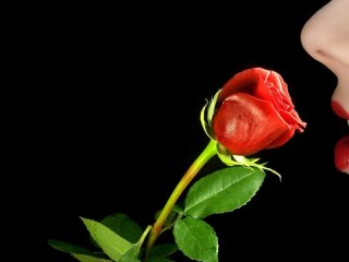 Zdjęcie profilu xxsweetlady