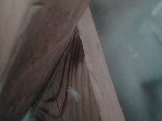 Erotyczny czat wideo YasminaGeil